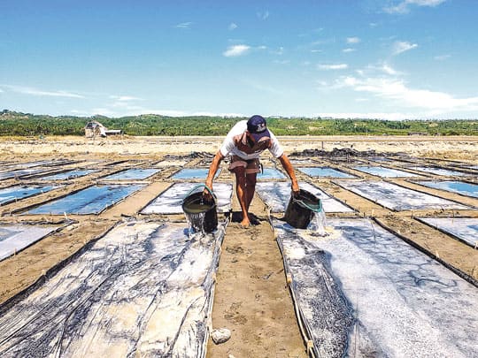GIS maps salt farms and supply<br>chain in Visayas and Mindanao